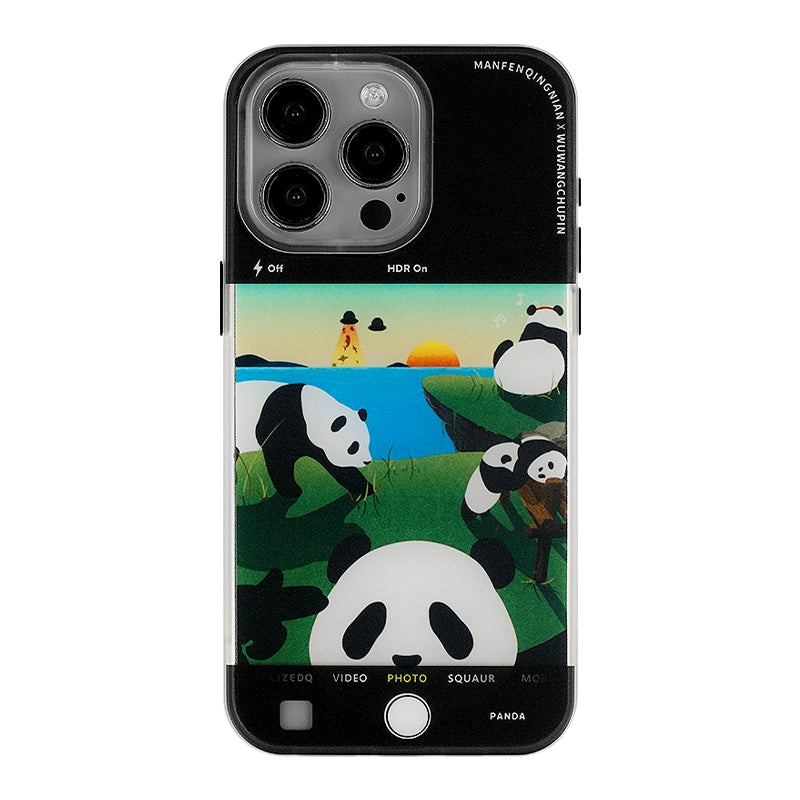 Pandas in the Lens