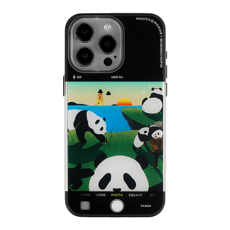 Pandas in the Lens